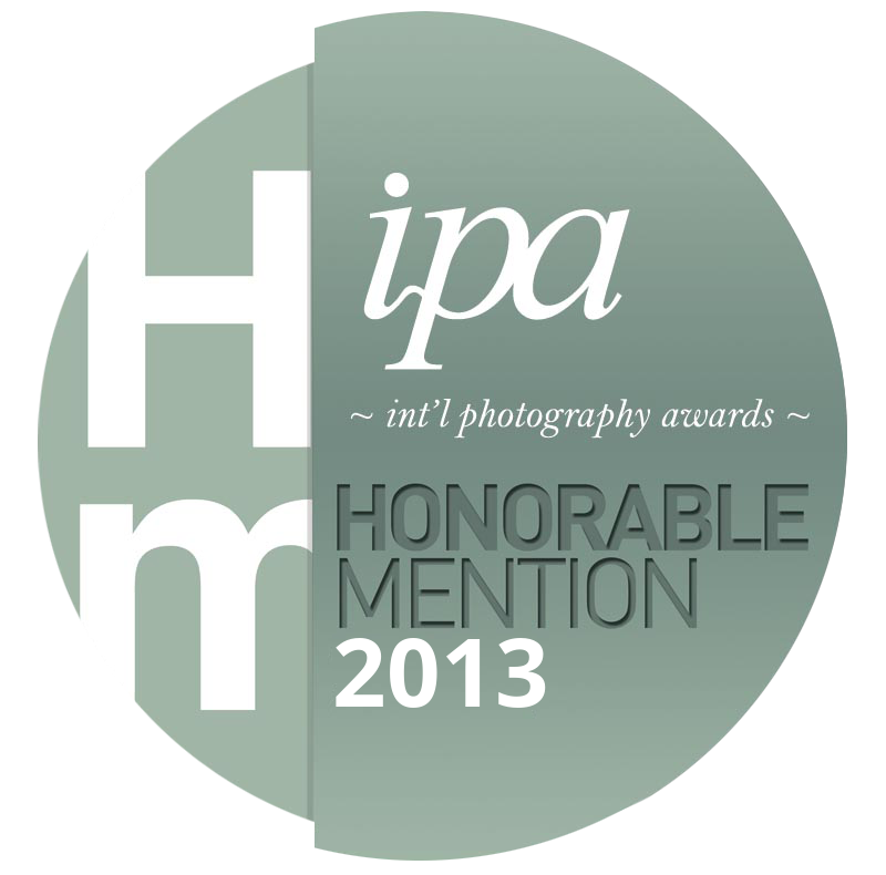 ipa2013