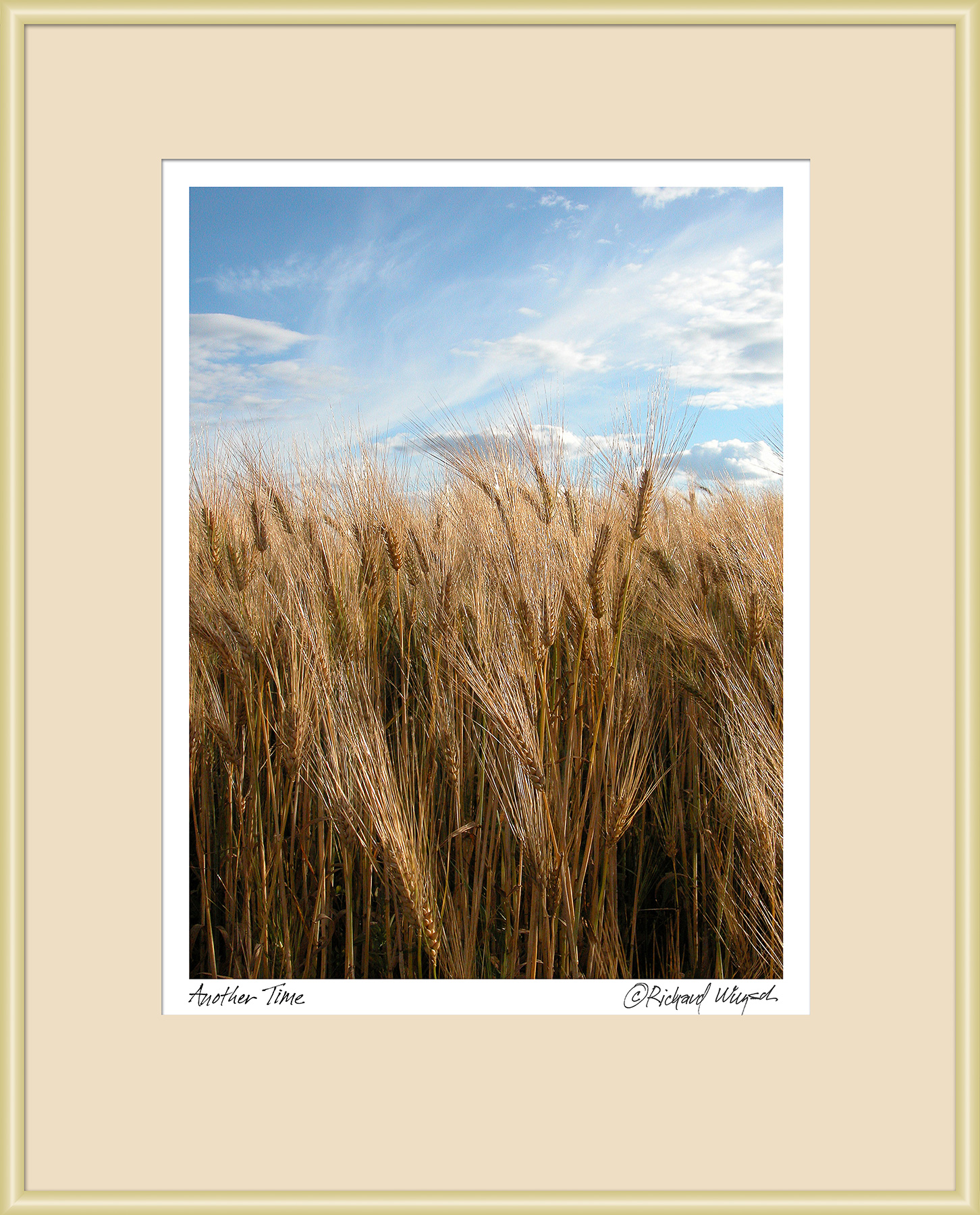 Amber-Waves-Large