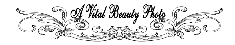 abp-header