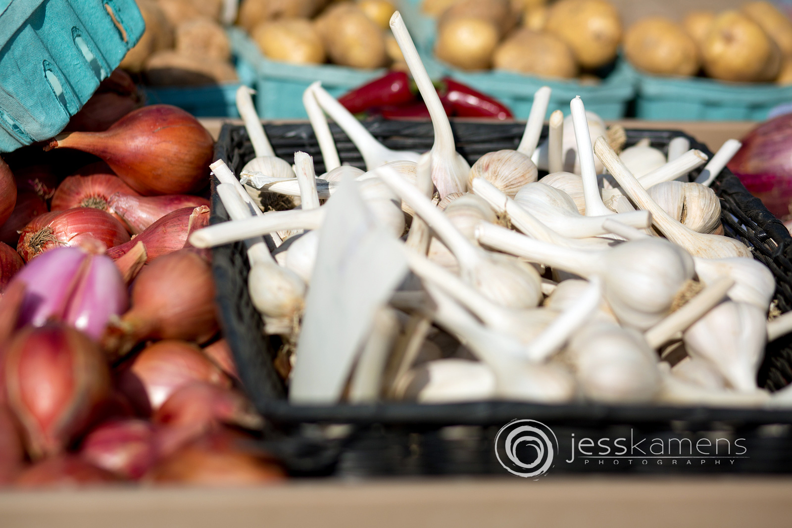 fresh garlic and onions