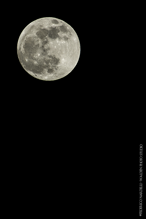WALDEN PHOTO STUDIO (TRENTO)
21.1.2019
NELLA FOTO: LUNA AL PERIGEO E SUCCESSIVA ECLISSI
@FEDERICO NARDELLI