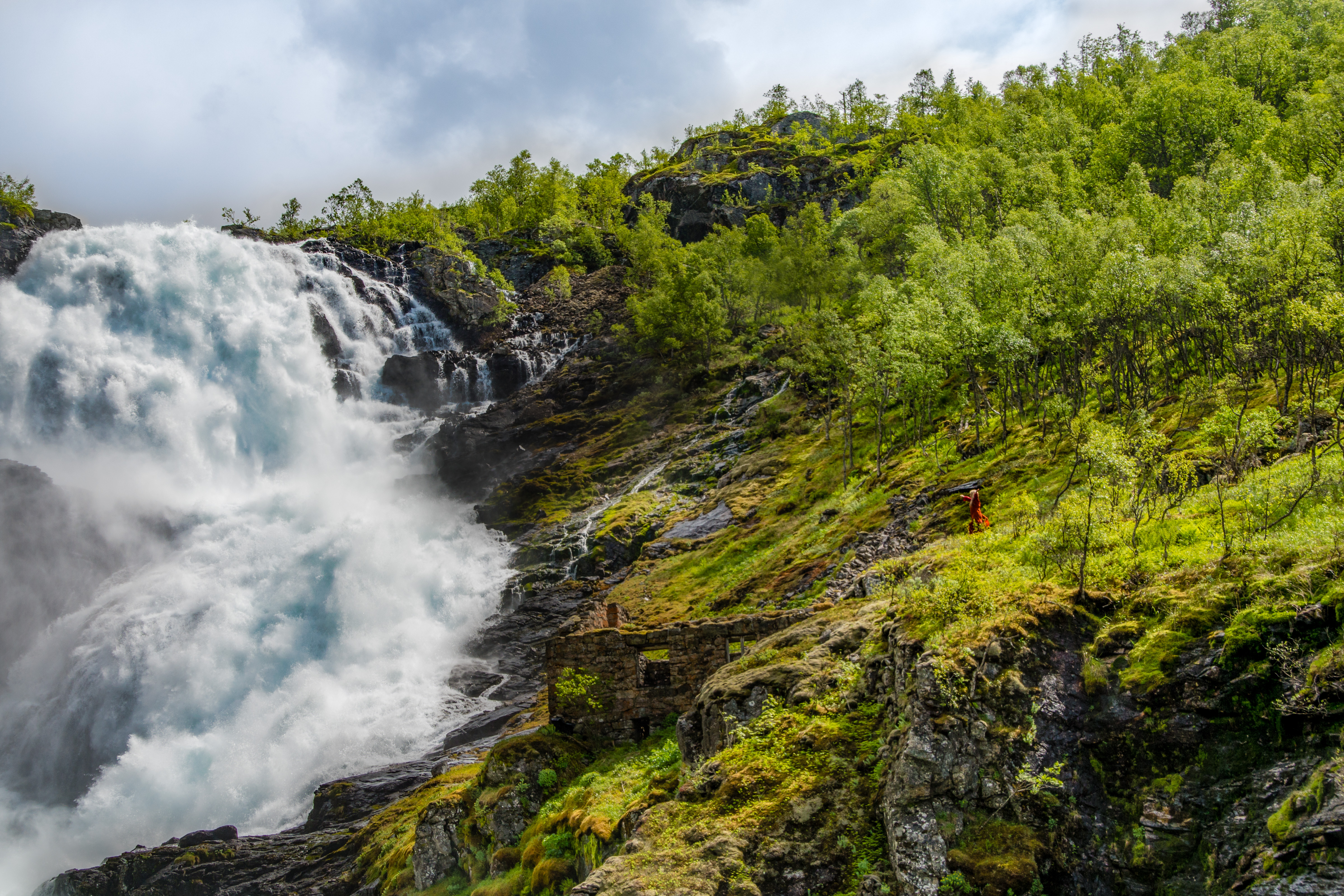 Norwegian_witch-Norway-6100-Edit