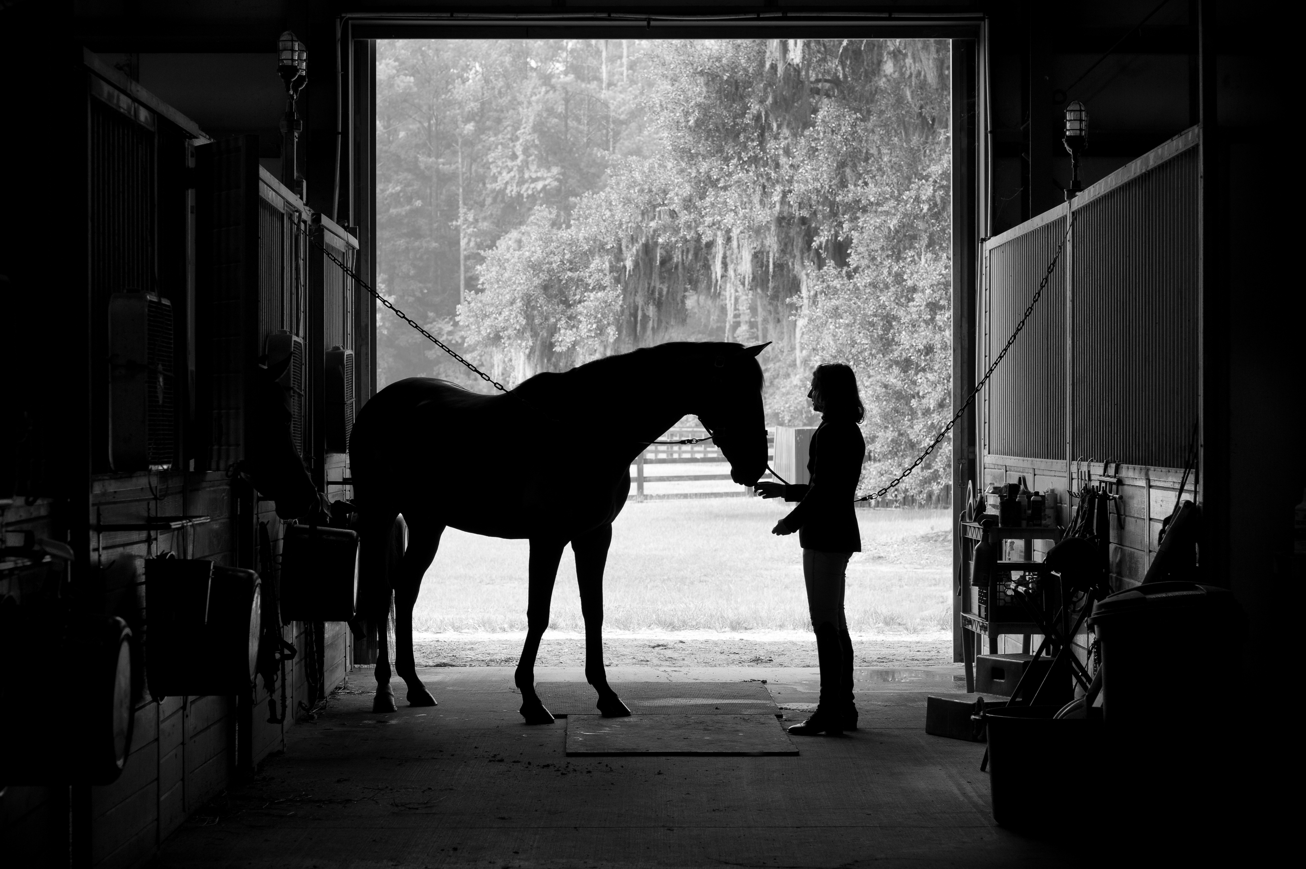 HorseGirl