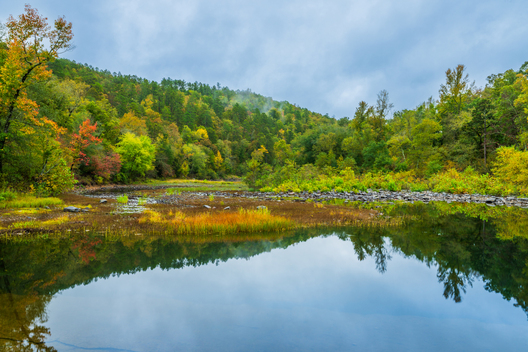 Nature and conservation photography from Jay Brittain