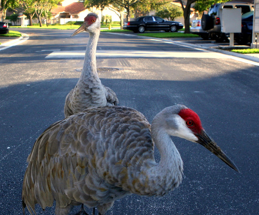 Palm Beach Gardens, Florida