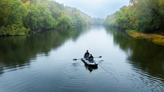 Nature and conservation photography from Jay Brittain