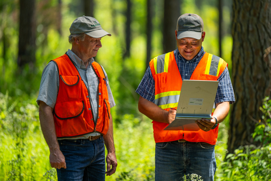 Jay Brittain photography. Forest photography. Photographs of forest management. Forest Management. Photographs of the forest industry. photographs of foresters at work.