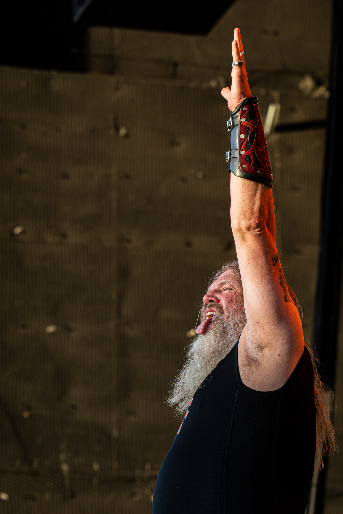 AmonAmarthDB-31