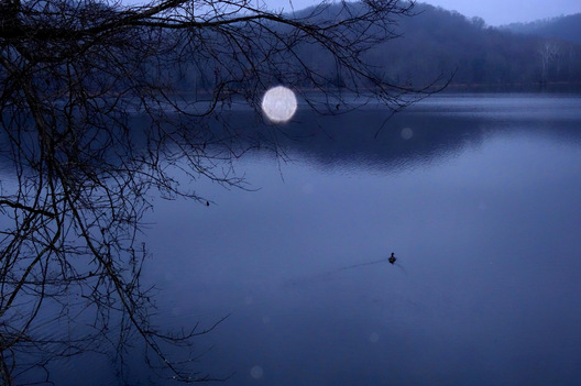 Radnor Lake, Tennessee
