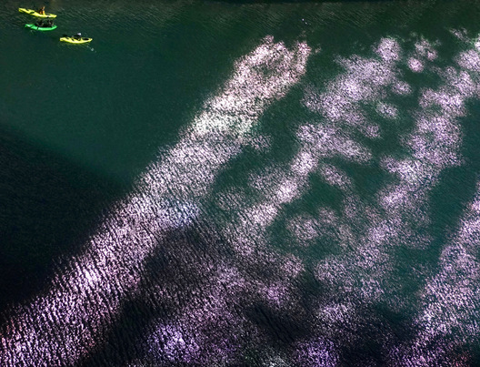 River Reflection - Chicago, Illinois