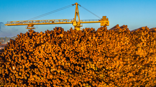 building products, forest products, forest product photographer, Jay Brittain