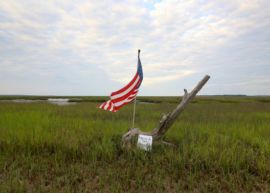 Tybee River Marshland - Savanah, Georgia