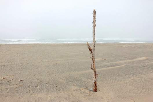 Winema Road Beach - Tillamook County, Oregon