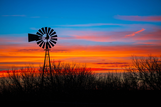 Nature and conservation photography from Jay Brittain