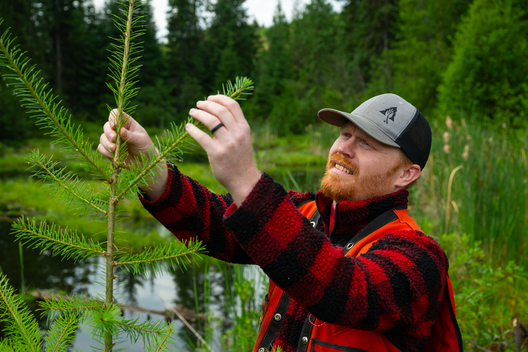 Jay Brittain photography. Forest photography. Photographs of forest management. Forest Management. Photographs of the forest industry. photographs of foresters at work.