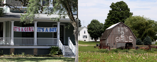 Gainesville, FL / Wyoming, IA