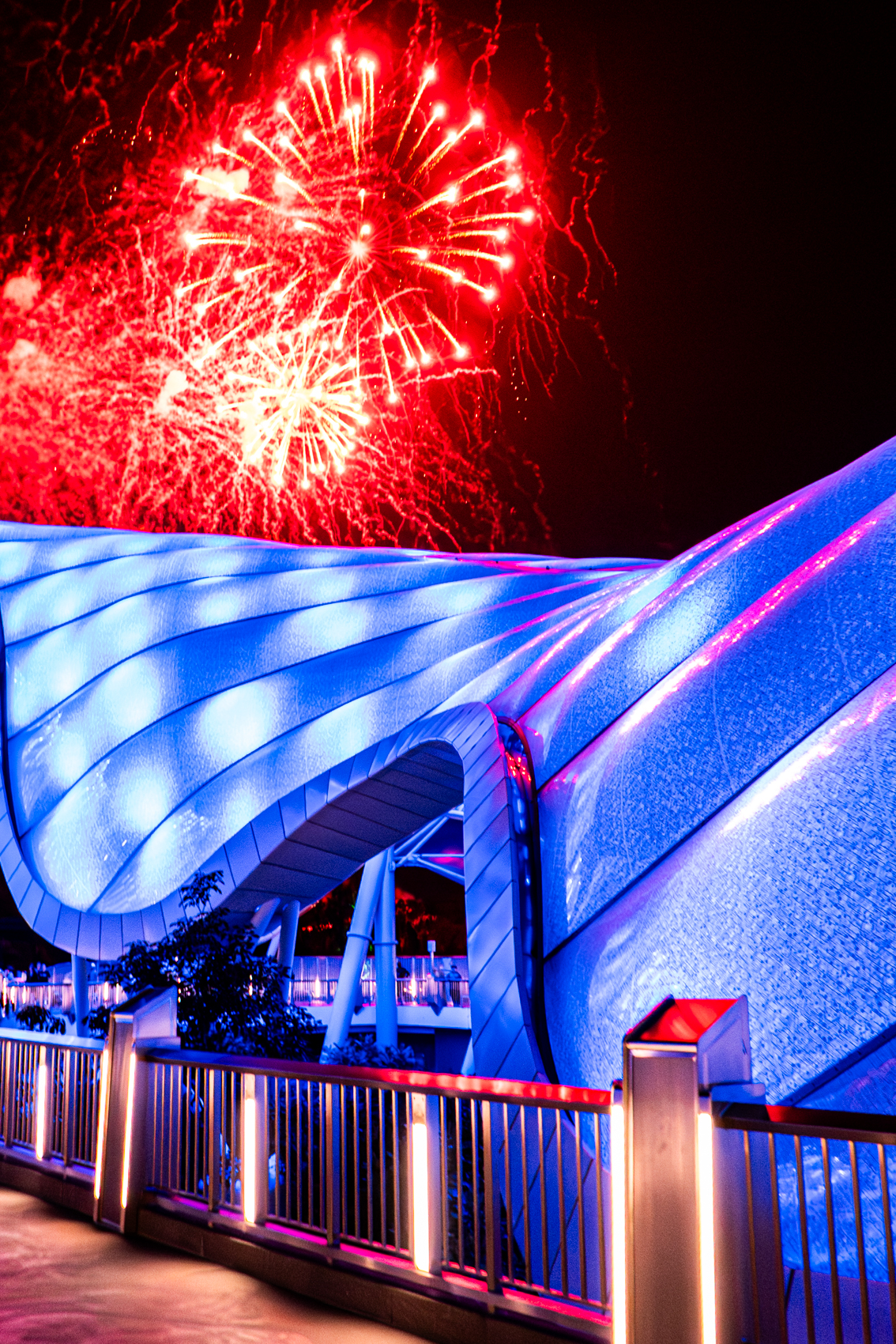 Magic Kingdom
Walt Disney World
Florida
November 4, 2025


DerekBrad.com