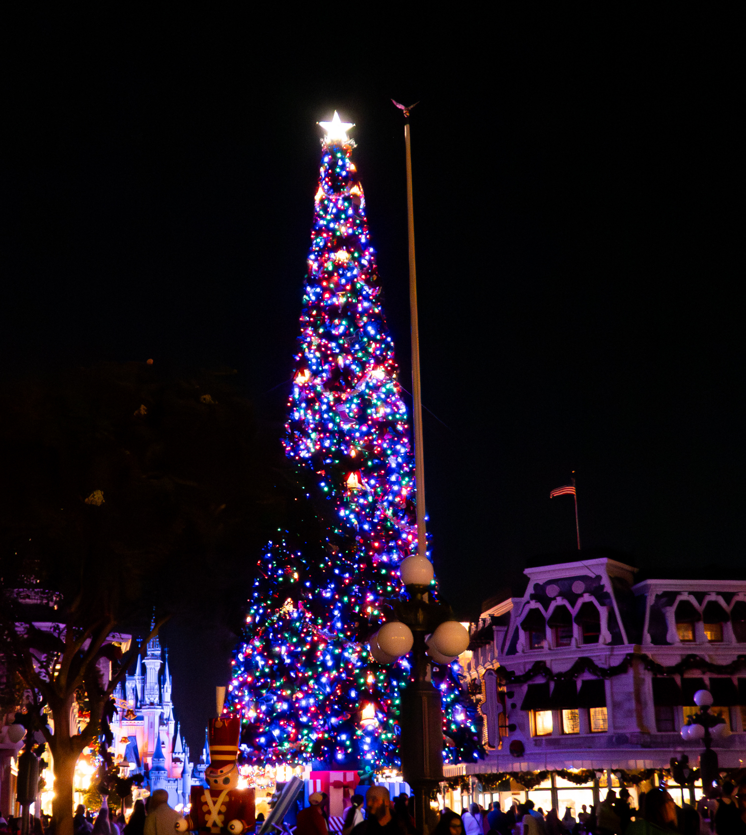 Magic Kingdom
Walt Disney World
Florida
November 4, 2025


DerekBrad.com