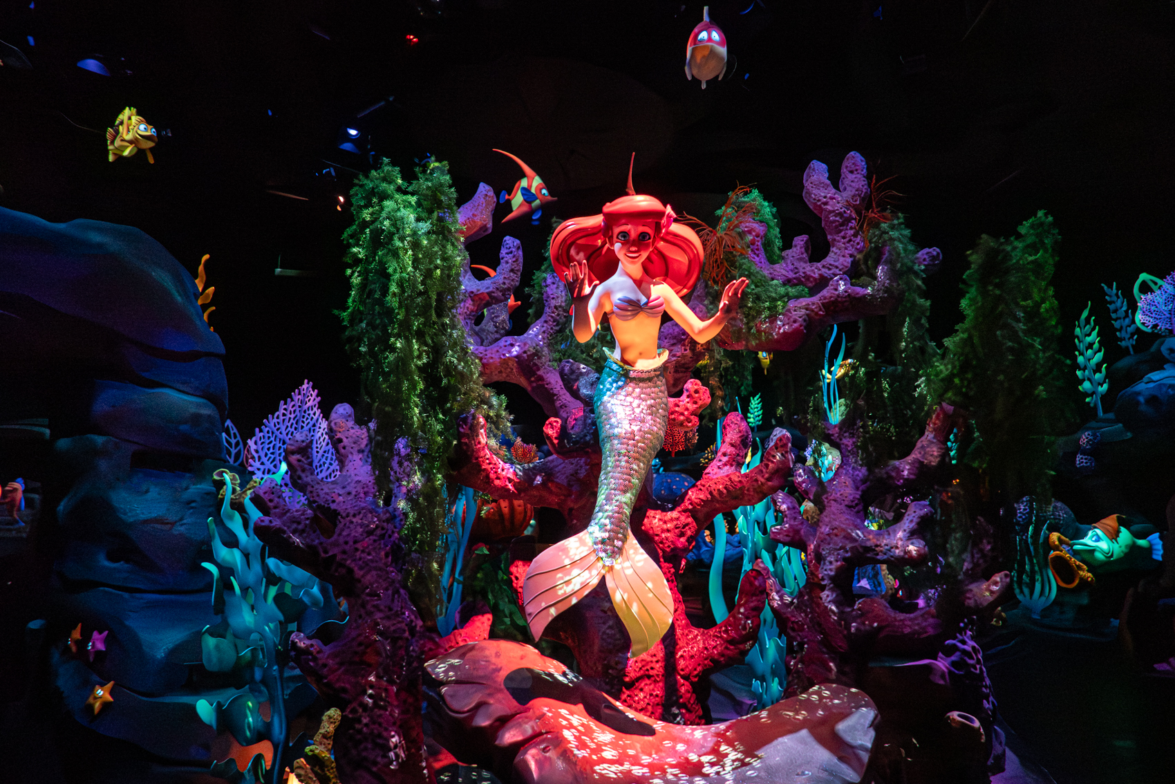 Under The Sea - Journey of The Little Mermaid
Fantasyland
Magic Kingdom
Walt Disney World
Florida
November 4, 2025


DerekBrad.com