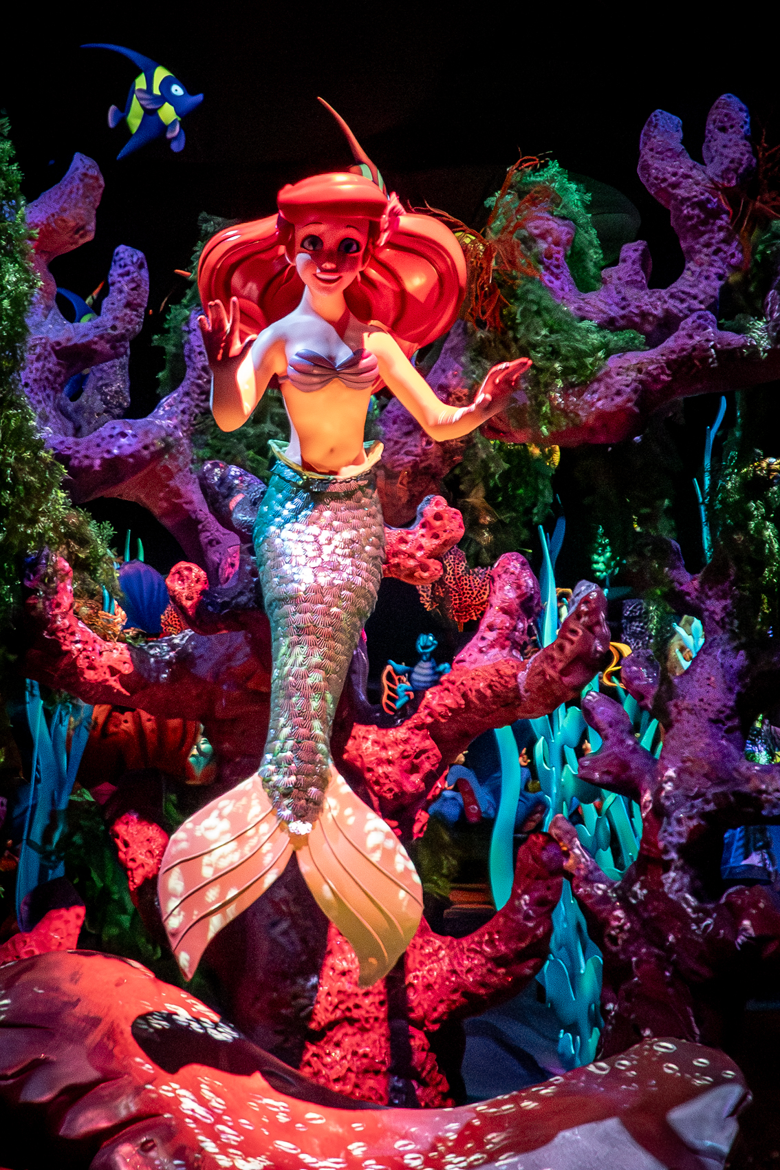 Under The Sea - Journey of The Little Mermaid
Fantasyland
Magic Kingdom
Walt Disney World
Florida
November 4, 2025


DerekBrad.com