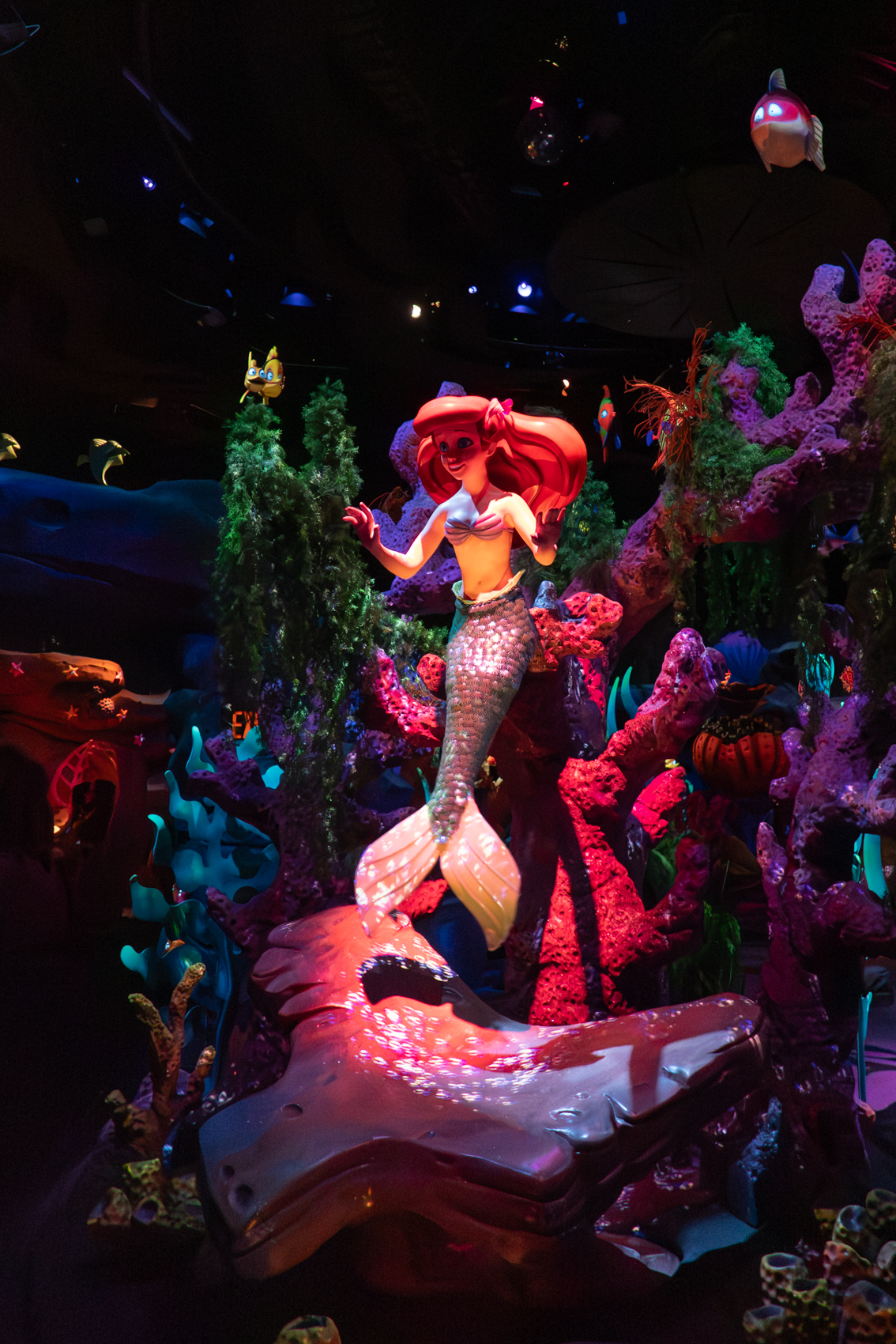 Under The Sea - Journey of The Little Mermaid
Fantasyland
Magic Kingdom
Walt Disney World
Florida
November 4, 2025


DerekBrad.com