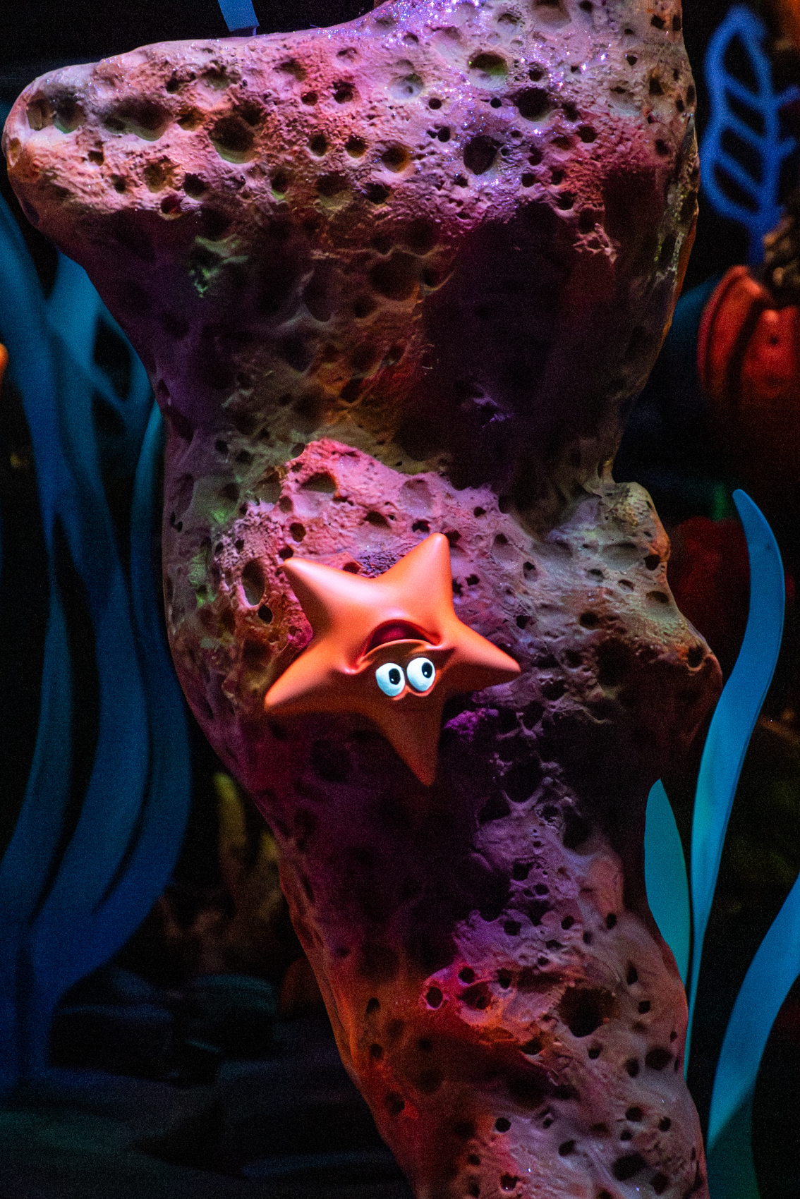 Under The Sea - Journey of The Little Mermaid
Fantasyland
Magic Kingdom
Walt Disney World
Florida
November 4, 2025


DerekBrad.com