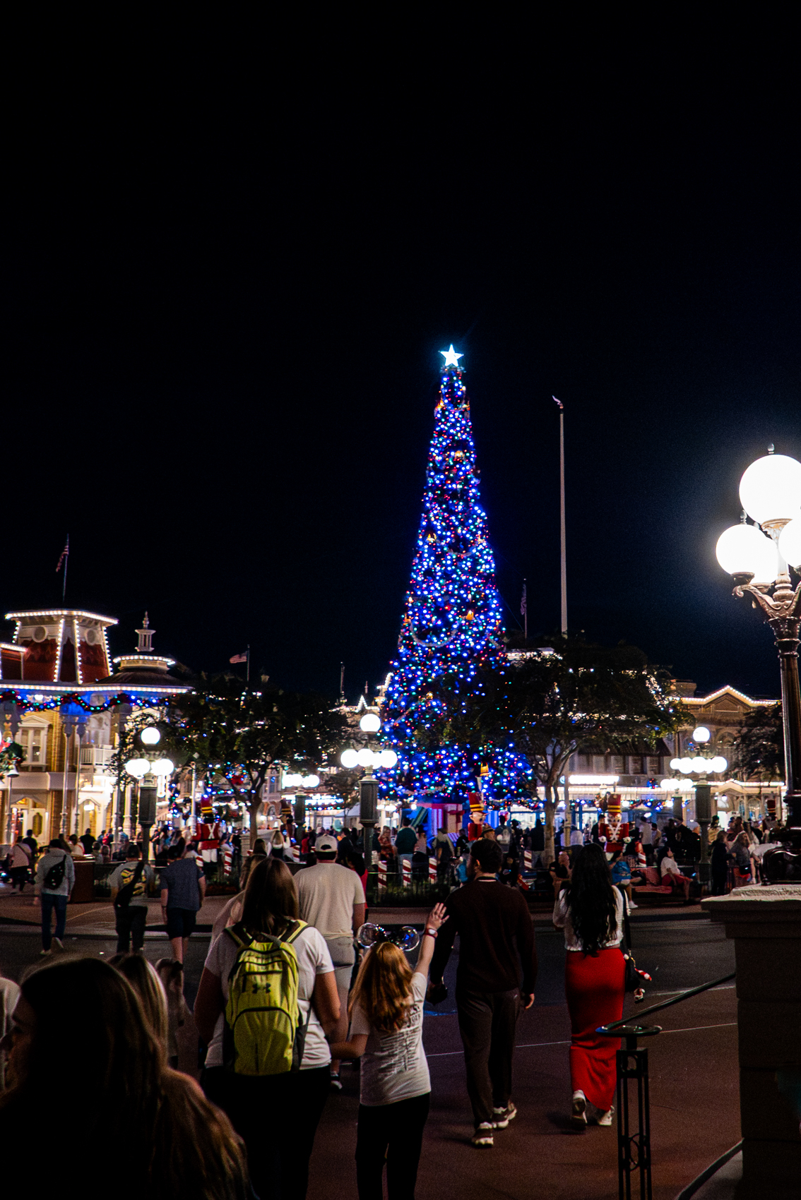 Magic Kingdom
Walt Disney World
Florida
November 4, 2025


DerekBrad.com