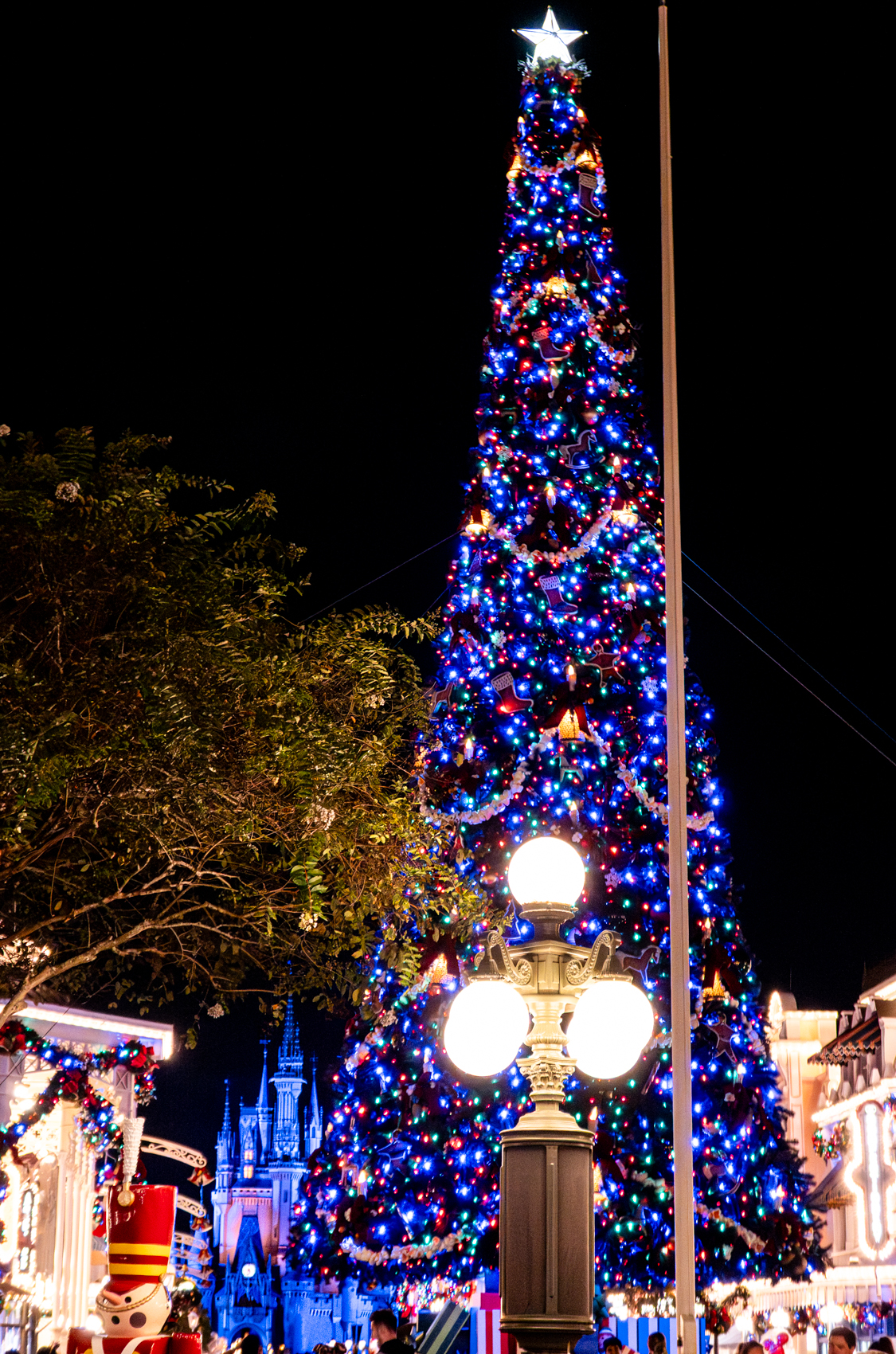 Magic Kingdom
Walt Disney World
Florida
November 4, 2025


DerekBrad.com