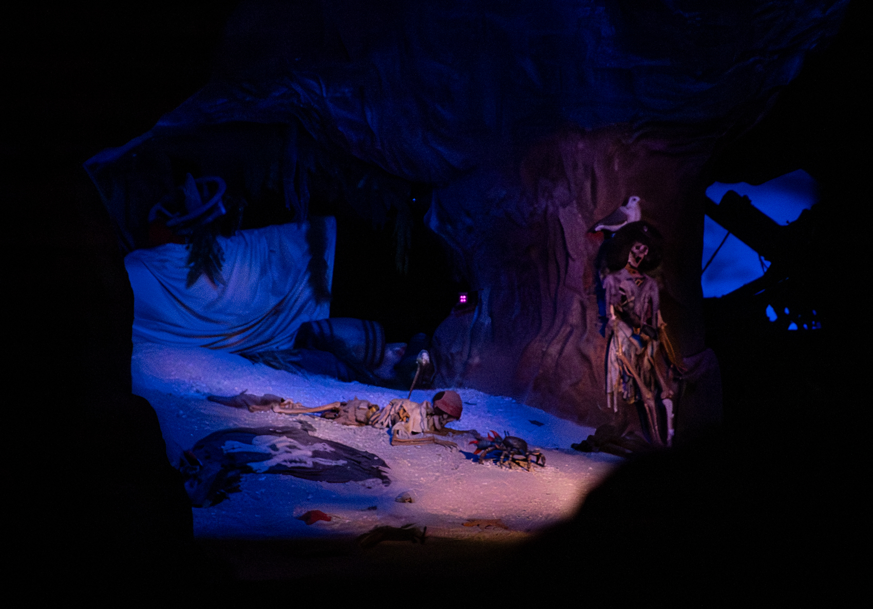 Pirates of the Caribbean 
The Beak and Barrel
Adventureland
Magic Kingdom
Walt Disney World
Florida
November 4, 2025


DerekBrad.com