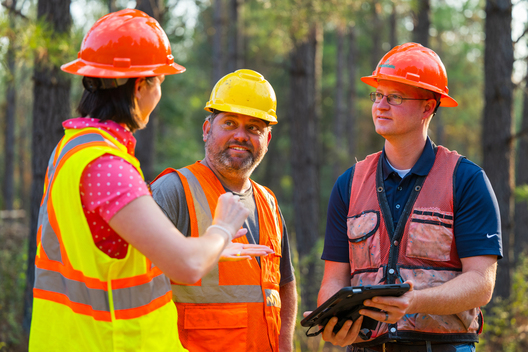 Jay Brittain photography. Forest photography. Photographs of forest management. Forest Management. Photographs of the forest industry. photographs of foresters at work.