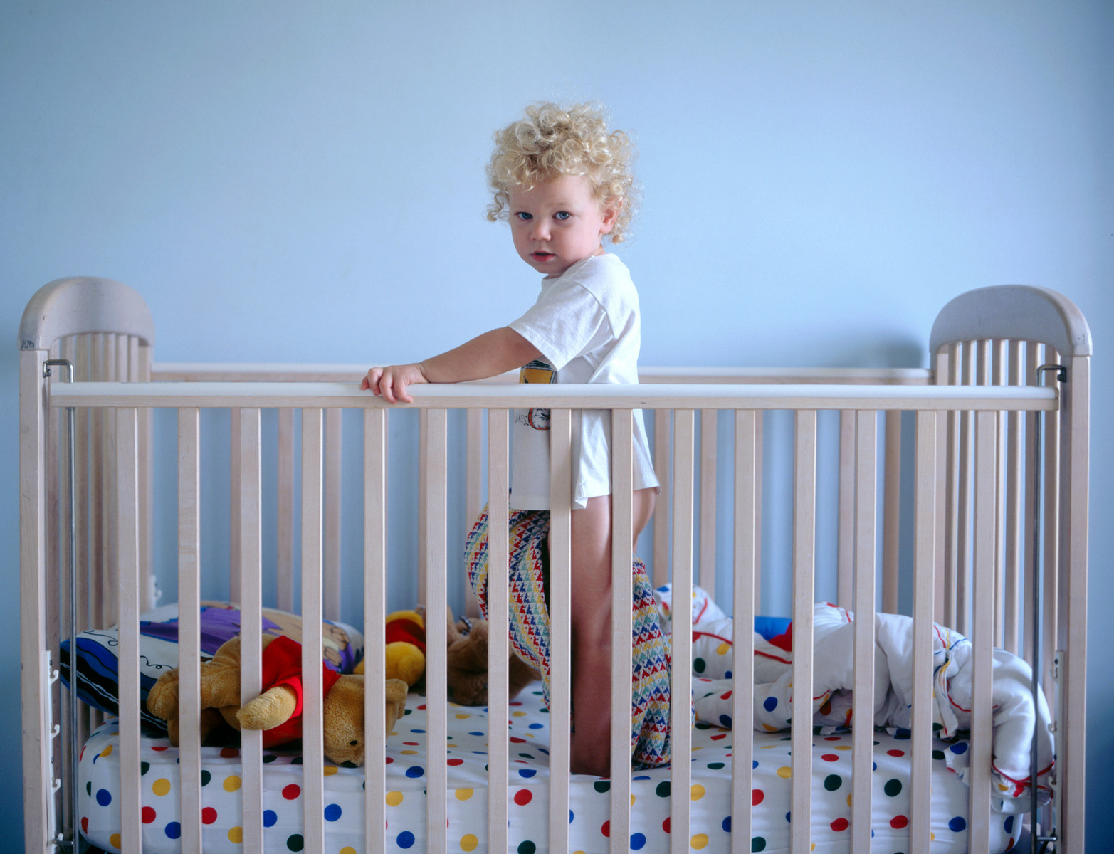 Moose - Brentwood, Tennessee