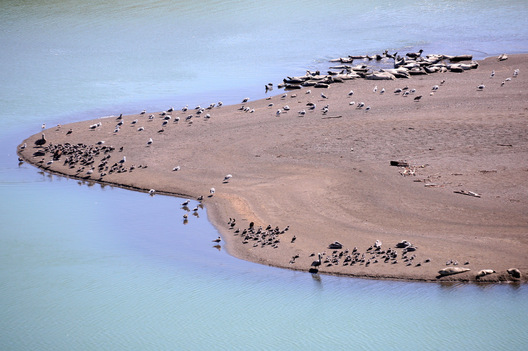 Russian River Inlet, California