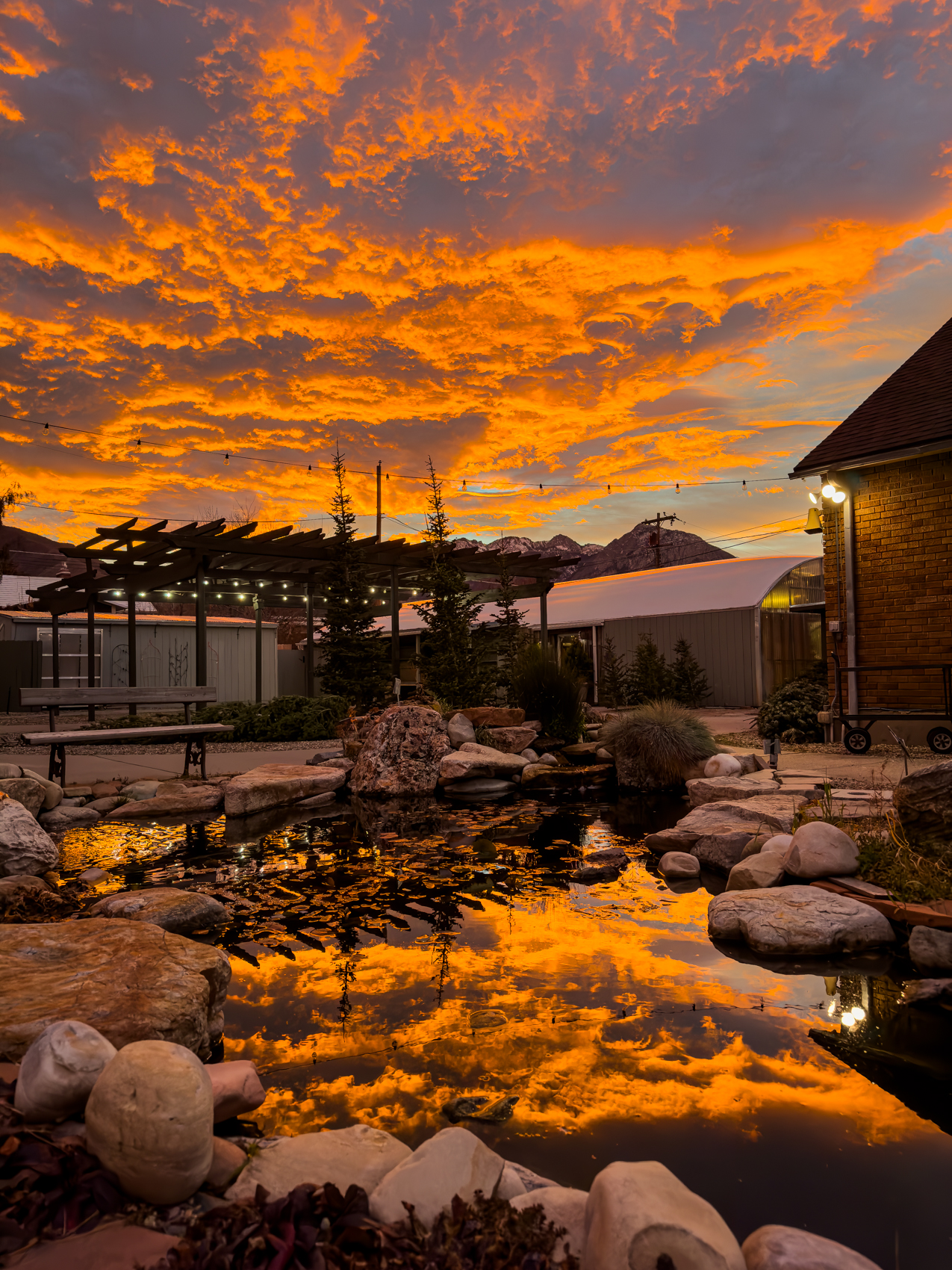 Cactus and Tropicals
Salt Lake City, Utah
December 22, 2025


DerekBrad.com