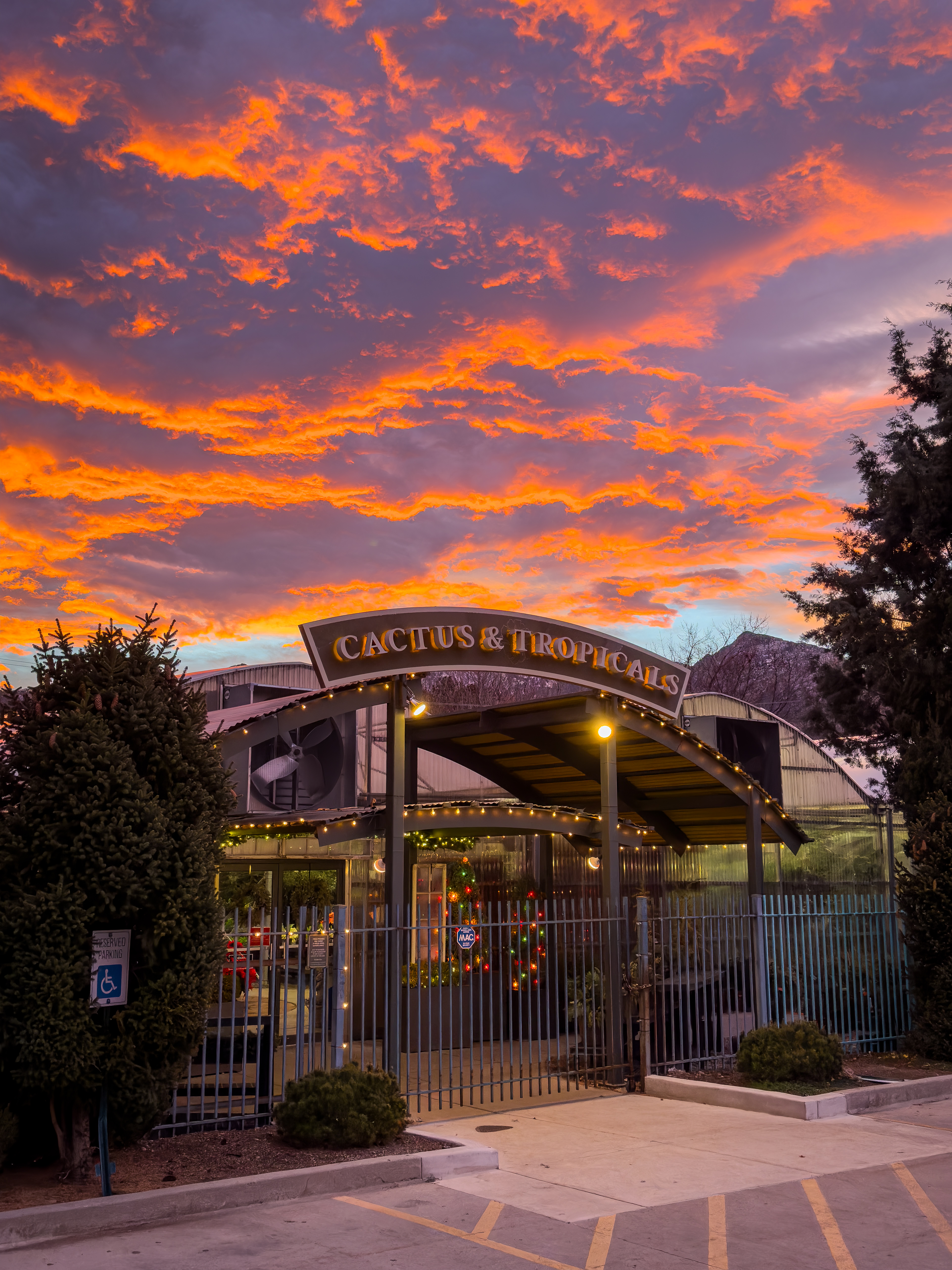 Cactus and Tropicals
Salt Lake City, Utah
December 22, 2025


DerekBrad.com