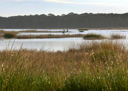 Ponte Vedra Reserve, Florida
