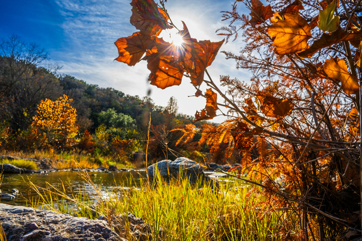 Nature and conservation photography from Jay Brittain