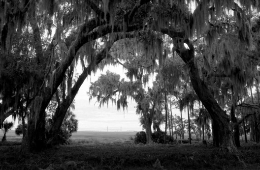 Jekyll Island, Georgia