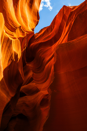 Nature and conservation photography from Jay Brittain