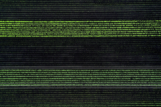 Radish Field and Powerlines - Belle Glade, Florida