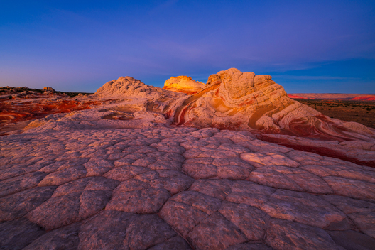 Nature and conservation photography from Jay Brittain