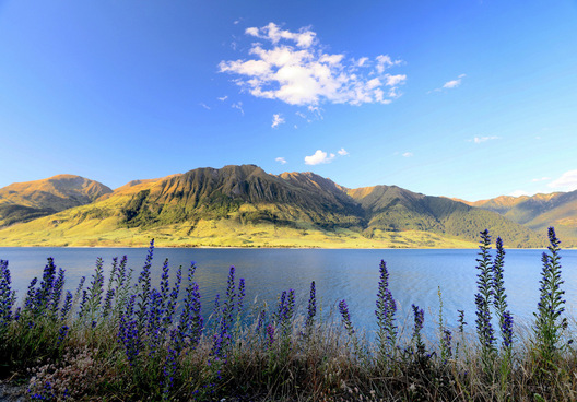 Lake Hawea, New Zealand