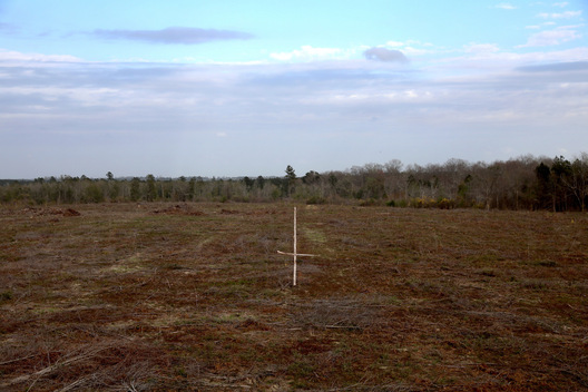 Screen County, Georgia