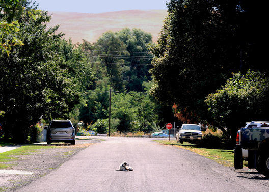 Starbuck, Washington