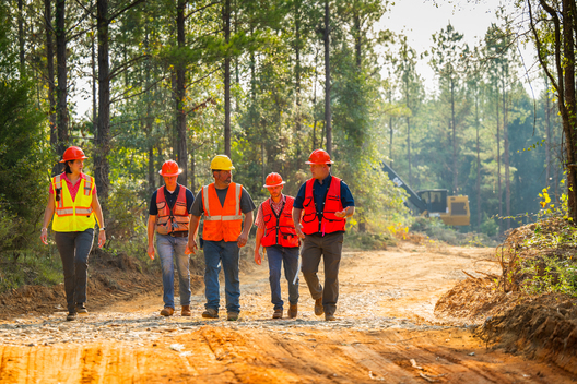 Jay Brittain photography. Forest photography. Photographs of forest management. Forest Management. Photographs of the forest industry. photographs of foresters at work.