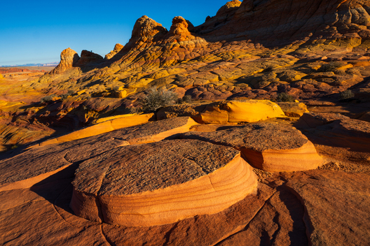 Nature and conservation photography from Jay Brittain