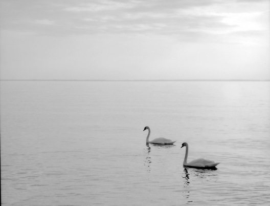Eastern Shore, Maryland