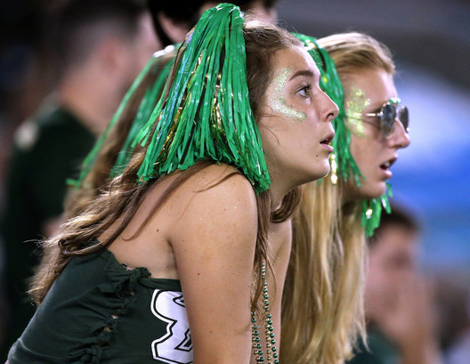 University of South Florida Fans