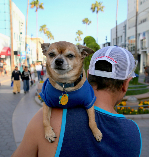 Santa Monica, California