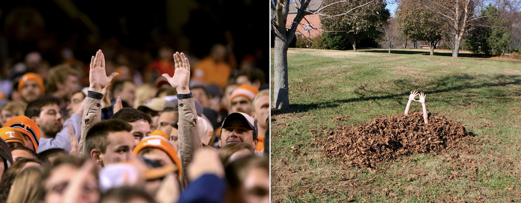 Knoxville, TN / Brentwood, TN