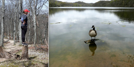 Lake Radnor, TN / Lake Radnor, TN
